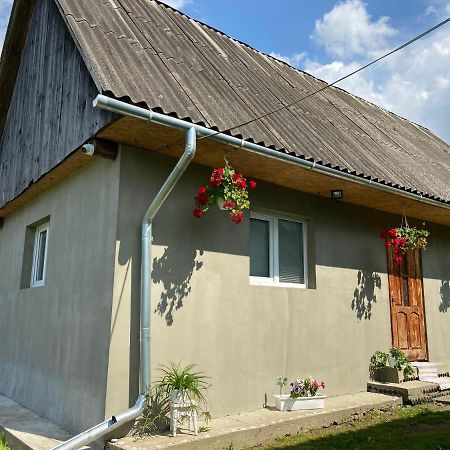 Біля Саду Volovets Buitenkant foto