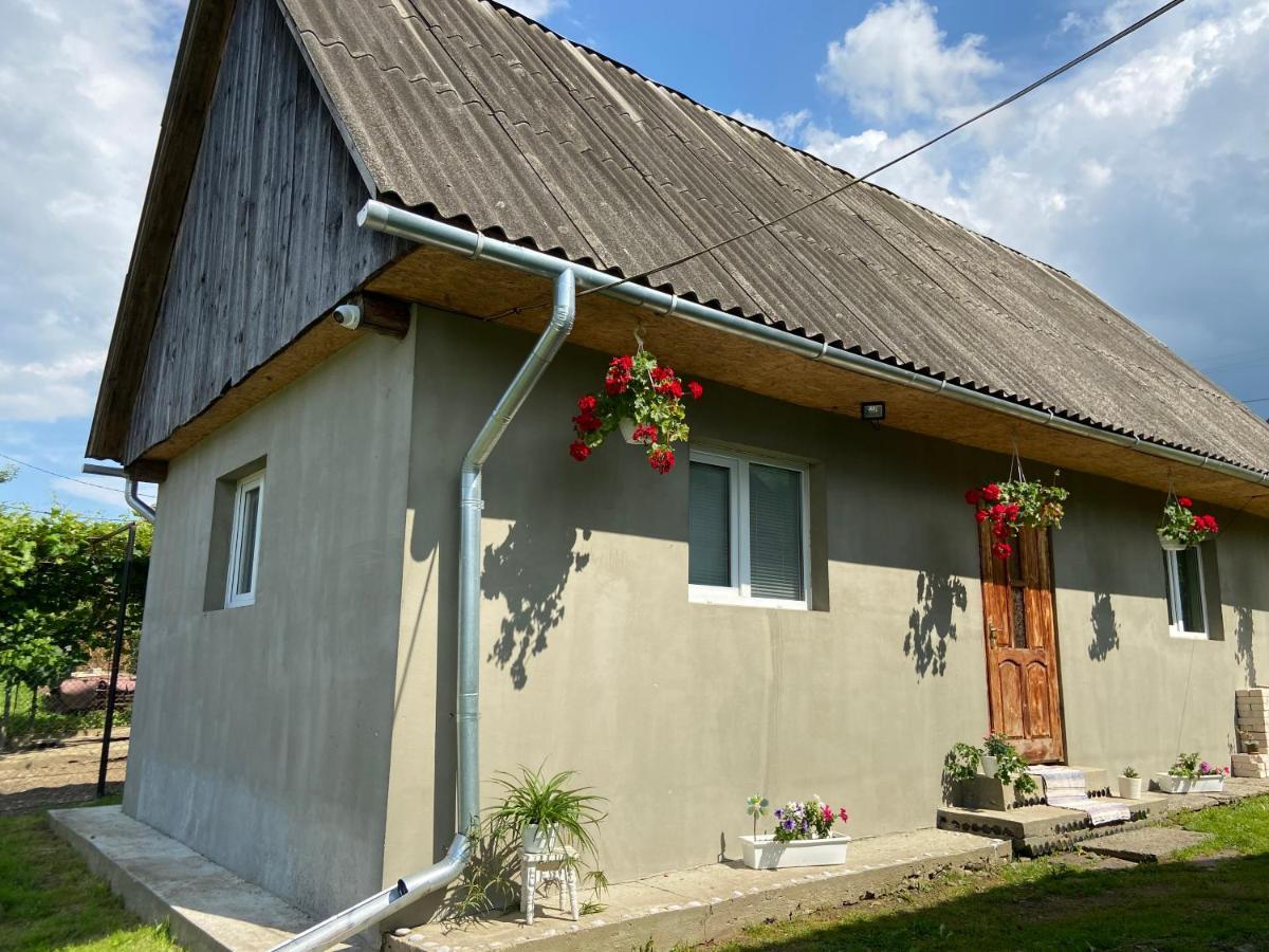 Біля Саду Volovets Buitenkant foto