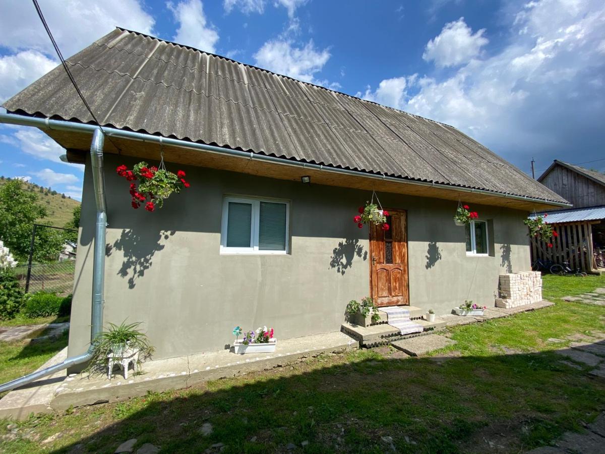 Біля Саду Volovets Buitenkant foto